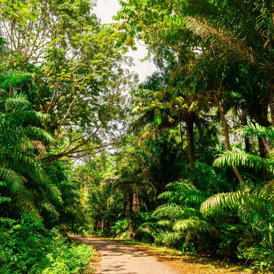 kenrick-baksh-pCMNcprqFBU-unsplash